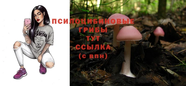PSILOCYBIN Новозыбков
