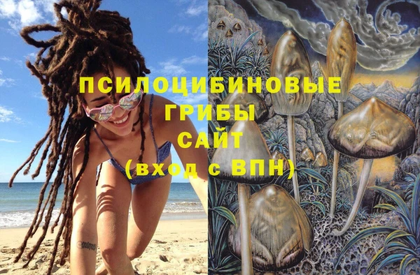 твердый Новокубанск