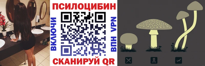цена   Приморск  shop как зайти  Галлюциногенные грибы Magic Shrooms 